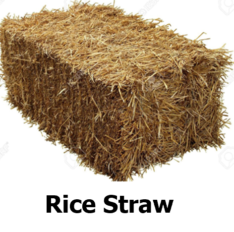 Rice Straw Feedstock